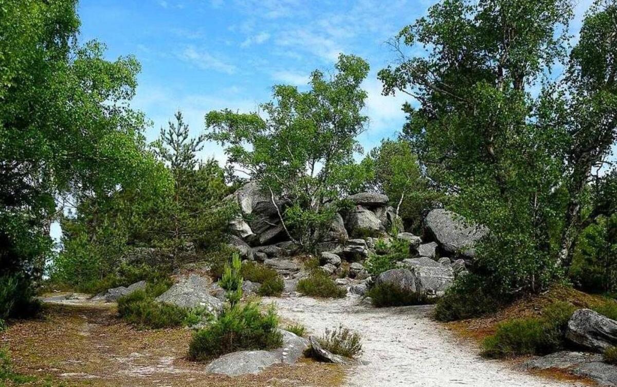 Le Jardin Des Hautes Presles Le Carrousel City Fontainebleau Zewnętrze zdjęcie